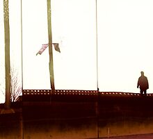 Waiting for a series by fernandoprats