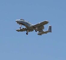A-10 Thunderbolt by maccole25