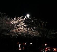MAINSTREET by Gail Bridger