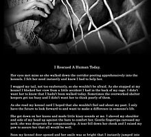 I Rescued A Human Today by Beverly Lussier