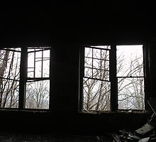 Looking out : Whistful by gypsycaster