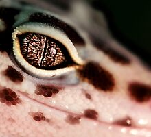 Hypnotize by brandiejenkins