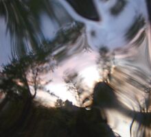 looking glass world by butchart