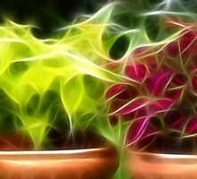 Tasmanian Autumn Floral by Ricky Pfeiffer