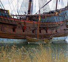 The Batavia by ienemien