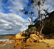 Cocora Beach - Eden by Darren Stones