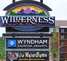 You see a sign post up ahead, you stop and ponder then decide to continue soon you enter "The Wilderness Zone"... by raindancerwoman