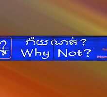 Why Not ? by Bev Pascoe