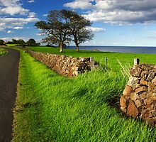Kiama Dry Stone Wall by Darren Stones