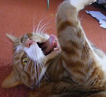 ARGH! by Tasha Blackmore