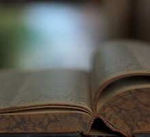 The Book by dutchlandscape