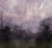 Once Upon A Night by mimulux