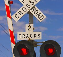 Trains - Railroad Crossing by Buckwhite