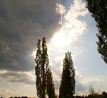 "small cloud" by Kulfon