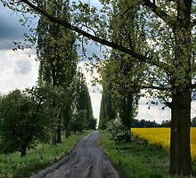 "road" by Kulfon