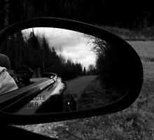 View from the Mustang. by taradee