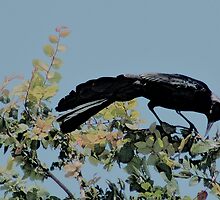 TREE DWELLERS SER 9 by Paul Quixote Alleyne