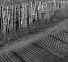 Shadow Lines by steppeland