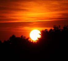 Silhouetted Sunset by Polly Peacock