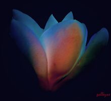 GLOWING by Paul Quixote Alleyne