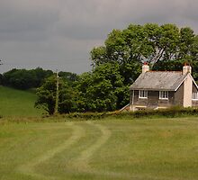 House on a hill by laurac