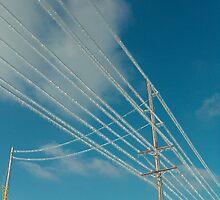 Icy Power Lines by sigtech