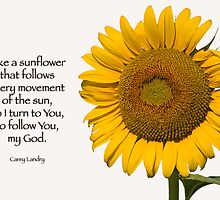 Like a sunflower . . . by Bonnie T. Barry