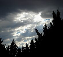 summer storm by Lindsey Huffman