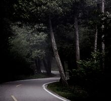 Dark Road by jordanbrock