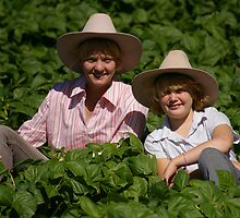 In The Bean Patch by Cherie Carlson