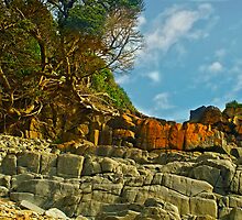 Rocky Ledge by Warren. A. Williams