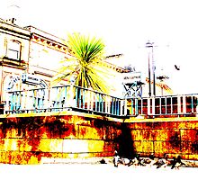 Pidgeon square. by paul hilton
