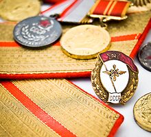 USSR army officer medals and badges by yurix