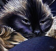 Ari On My Knee by robertsloan2