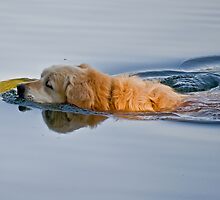 The Neverending Story by MarekM
