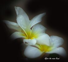 After the rains Kauai by Dennis Begnoche Jr.