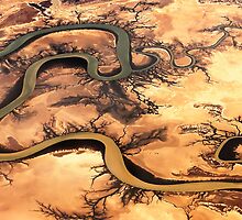 Carron River, Cape York Peninsula, Australia by Shannon Benson