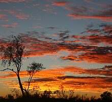 Simpson Desert Sunrise by A1000WORDS
