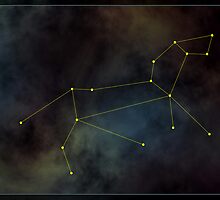 Leo zodiac by 4Seasons