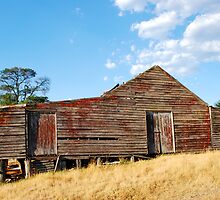 Old Red Shearing Shed by Clare McClelland