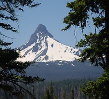 Oregon Mountains II by Troy Spencer