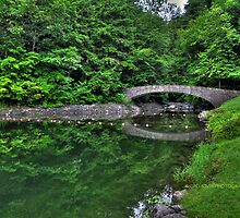 Filmore Glen State Park V HDR by PJS15204