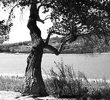 LAKEFRONT by Paul Quixote Alleyne