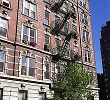 Apartment block, Greenwich Village by Maggie Hegarty