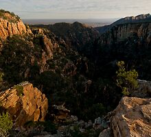 Guess where I slept Saturday night?#3: Dawn by John Shortt-Smith