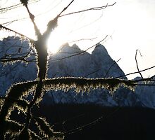 Beauty in Nature Calendar 2013 by starlitewonder