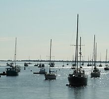 Diamond water boats by Linda Jackson