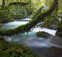 Where the Wild Things Are. by Michael Treloar