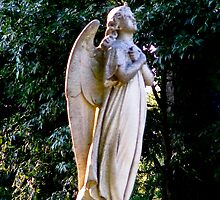 Pray For Peace by Marie Sharp