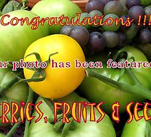 New Banner by Hans Bax